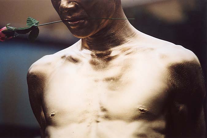 ��..��{�哹���l��..�����V���[