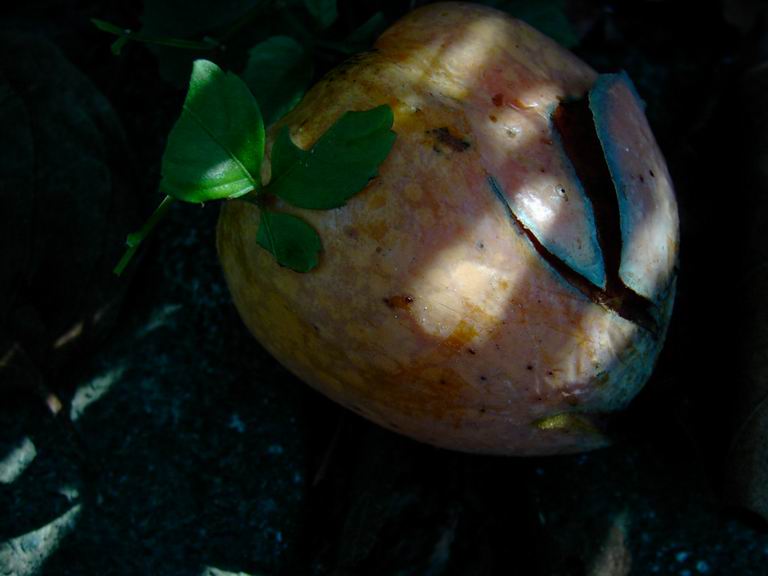 ��..�R�̂�