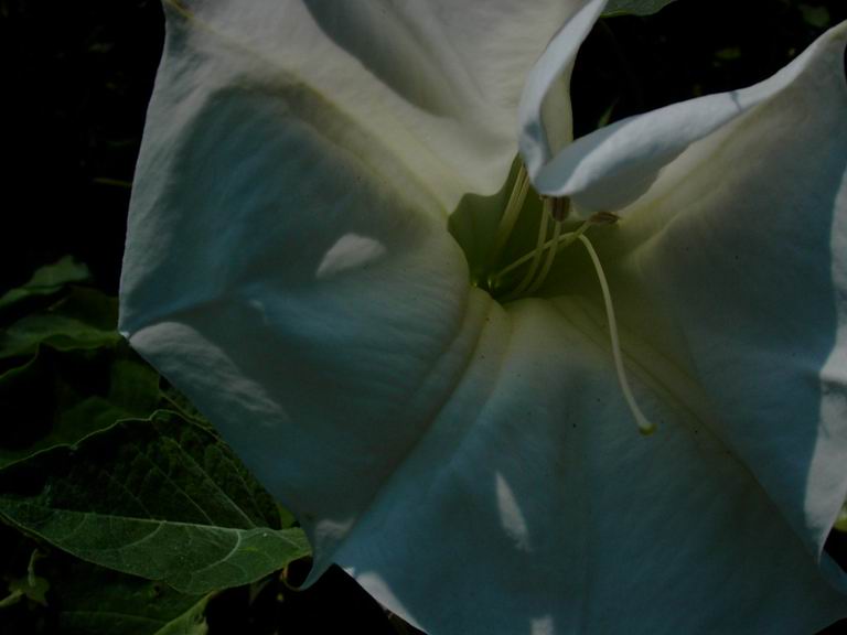 ��..�R�̂�