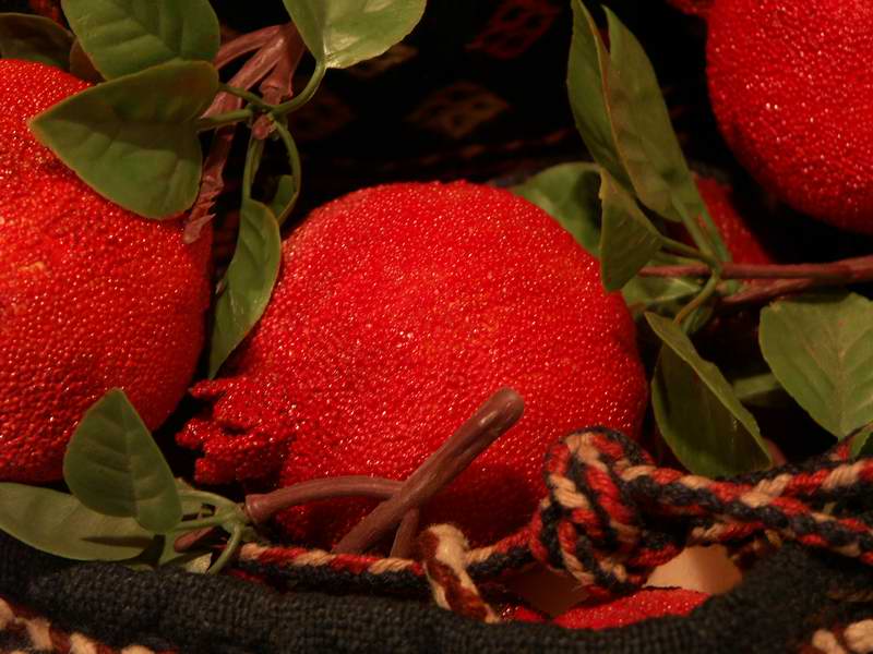 ���E�n����