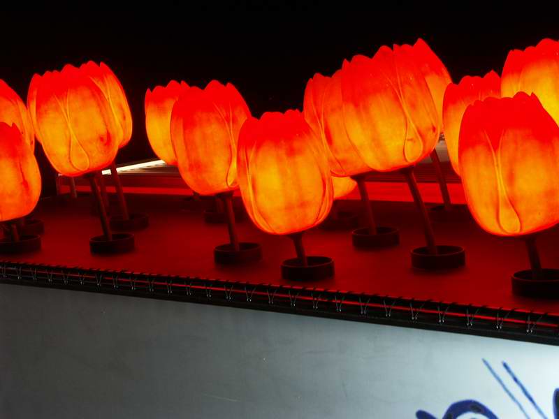 ���E�n����