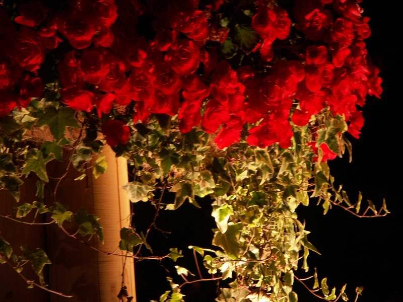 ���E�n����