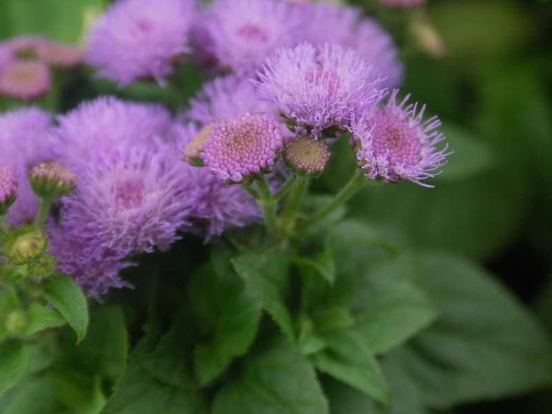 ���E�n����