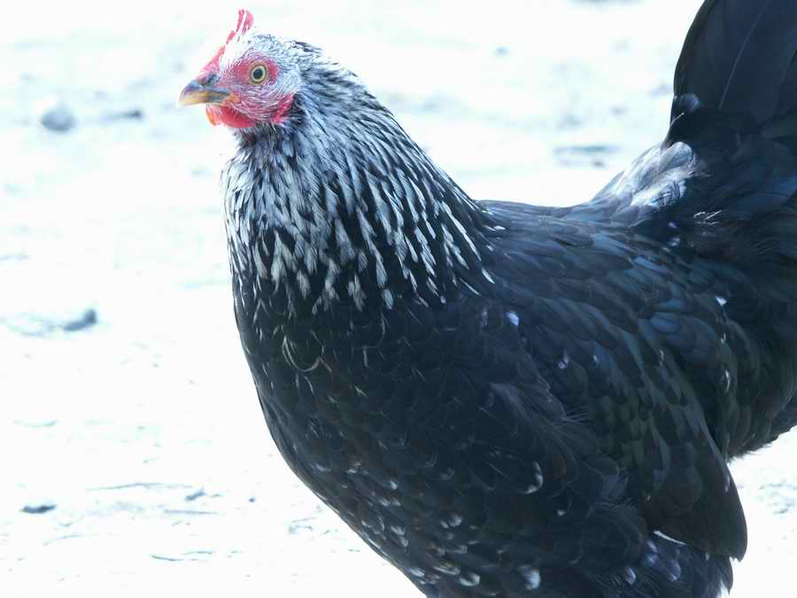 ��..�R���