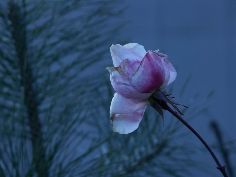 ��..����