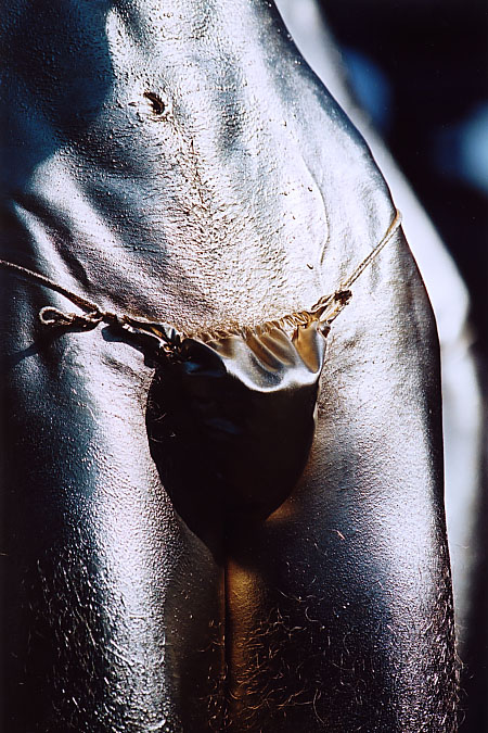 ��..��{�哹���l��..�^���ȏ�M�̗x��..�����V���E