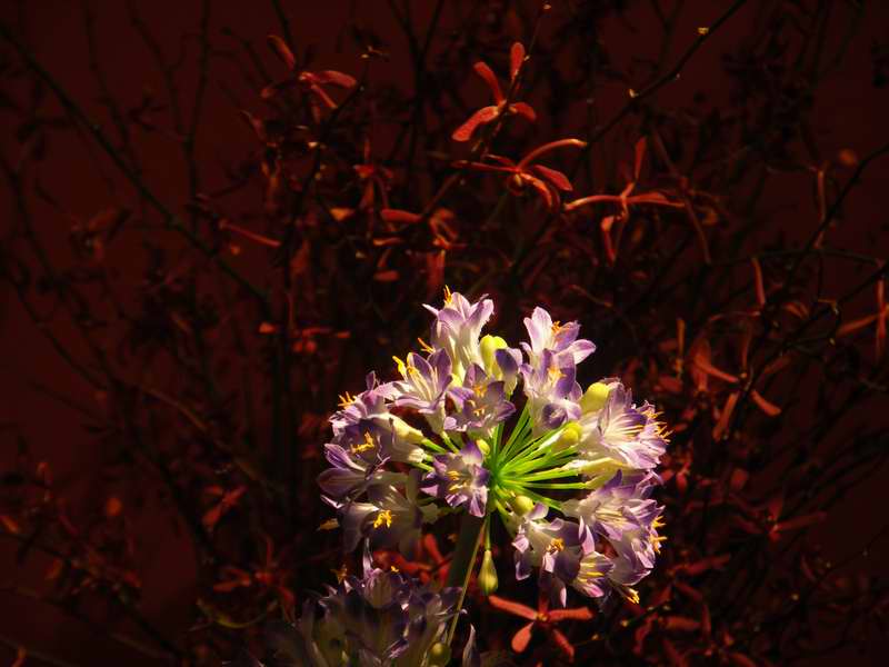 ���E�n����