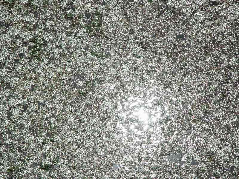 ���E�n����