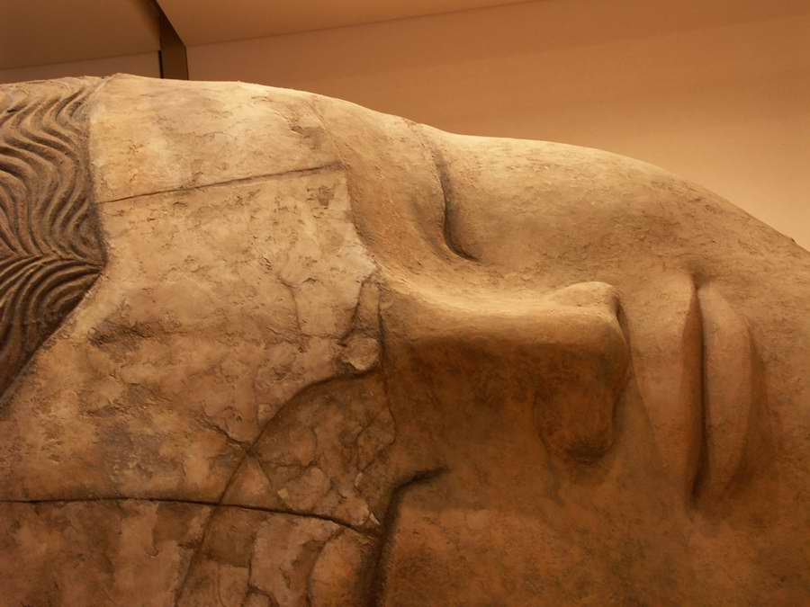 ���E�n����