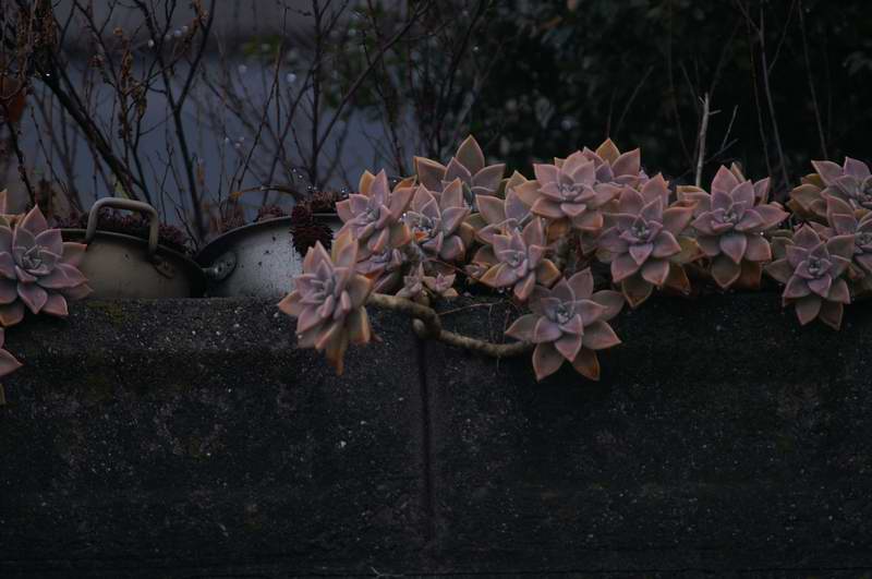 ��..����