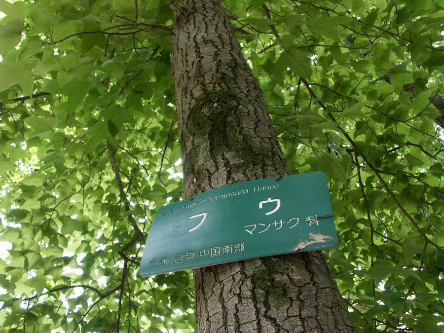 ��..�悵��