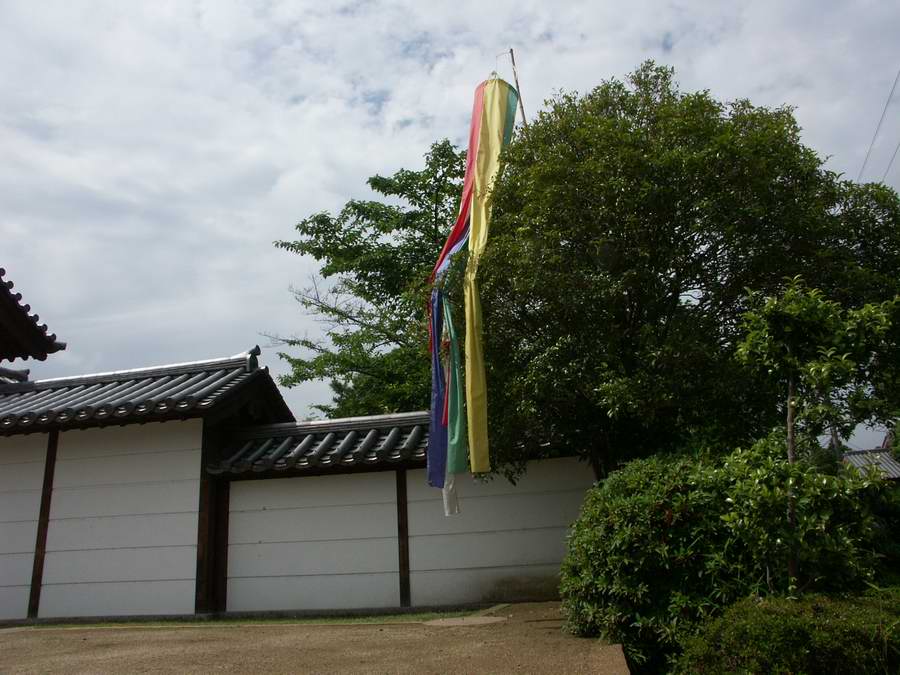 ��..�悵��