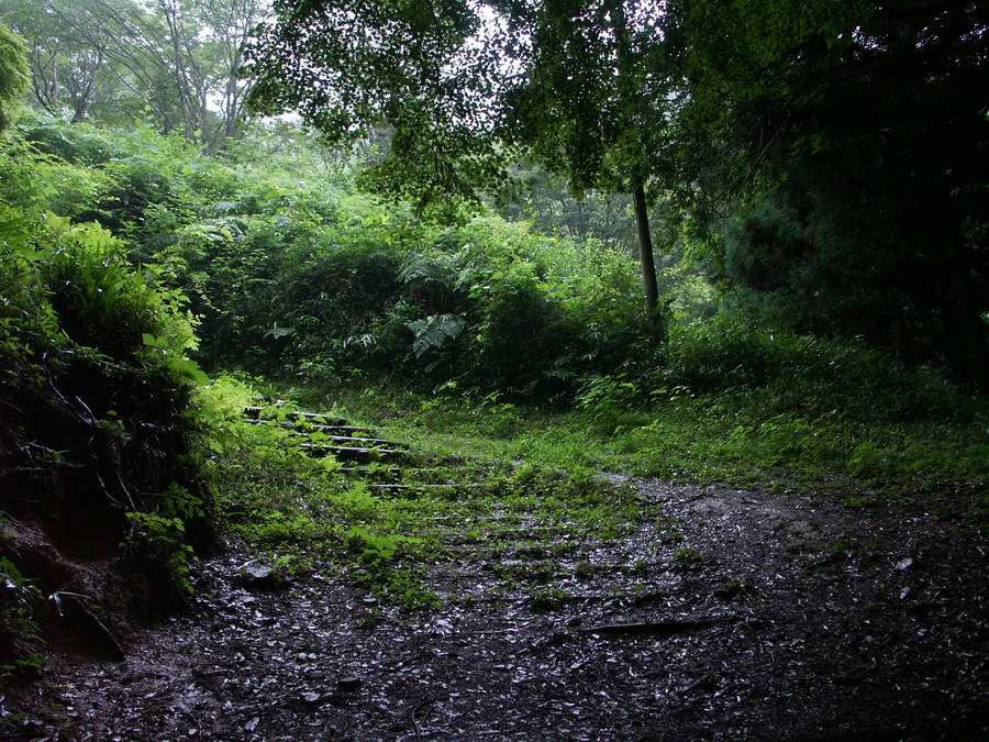 ��..�悵��