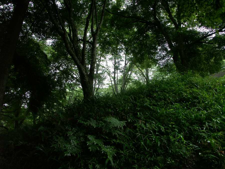 ��..�悵��