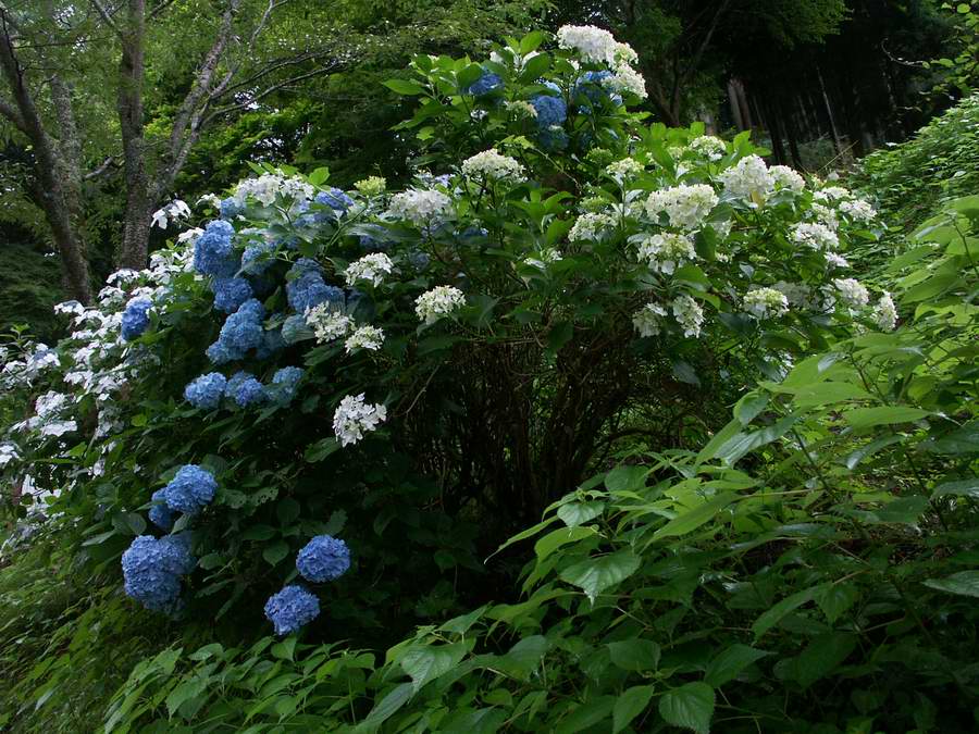 ��..�悵��