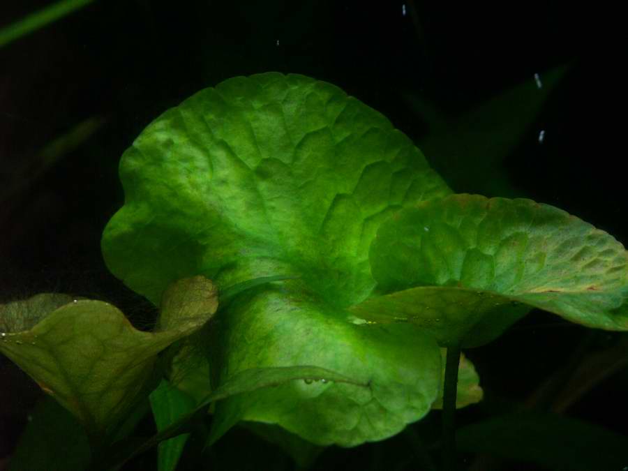 ��..�悵��