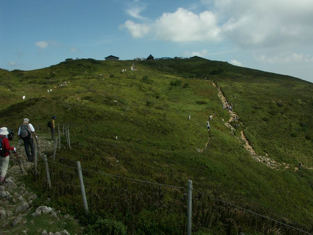 �ɐ��R�̂��Ԕ�