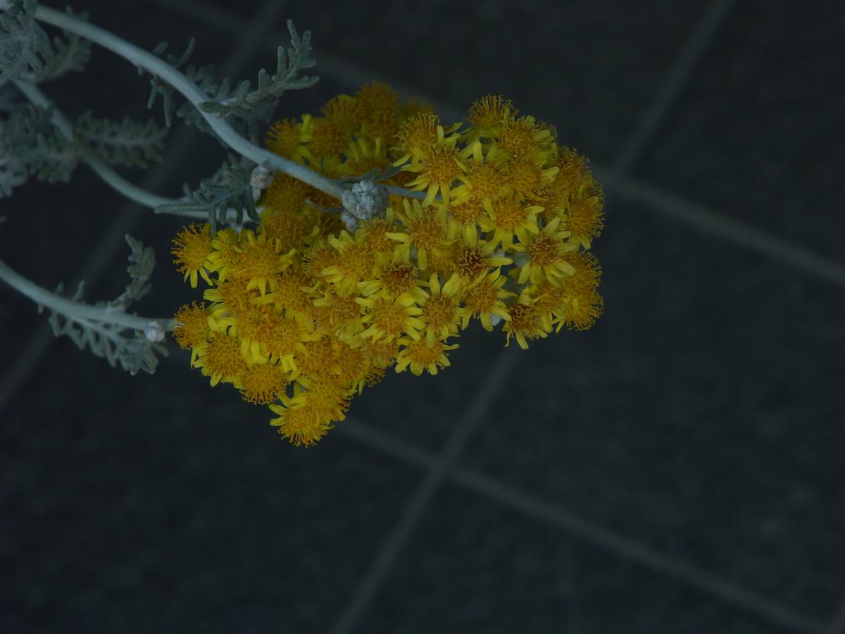 ��..�����