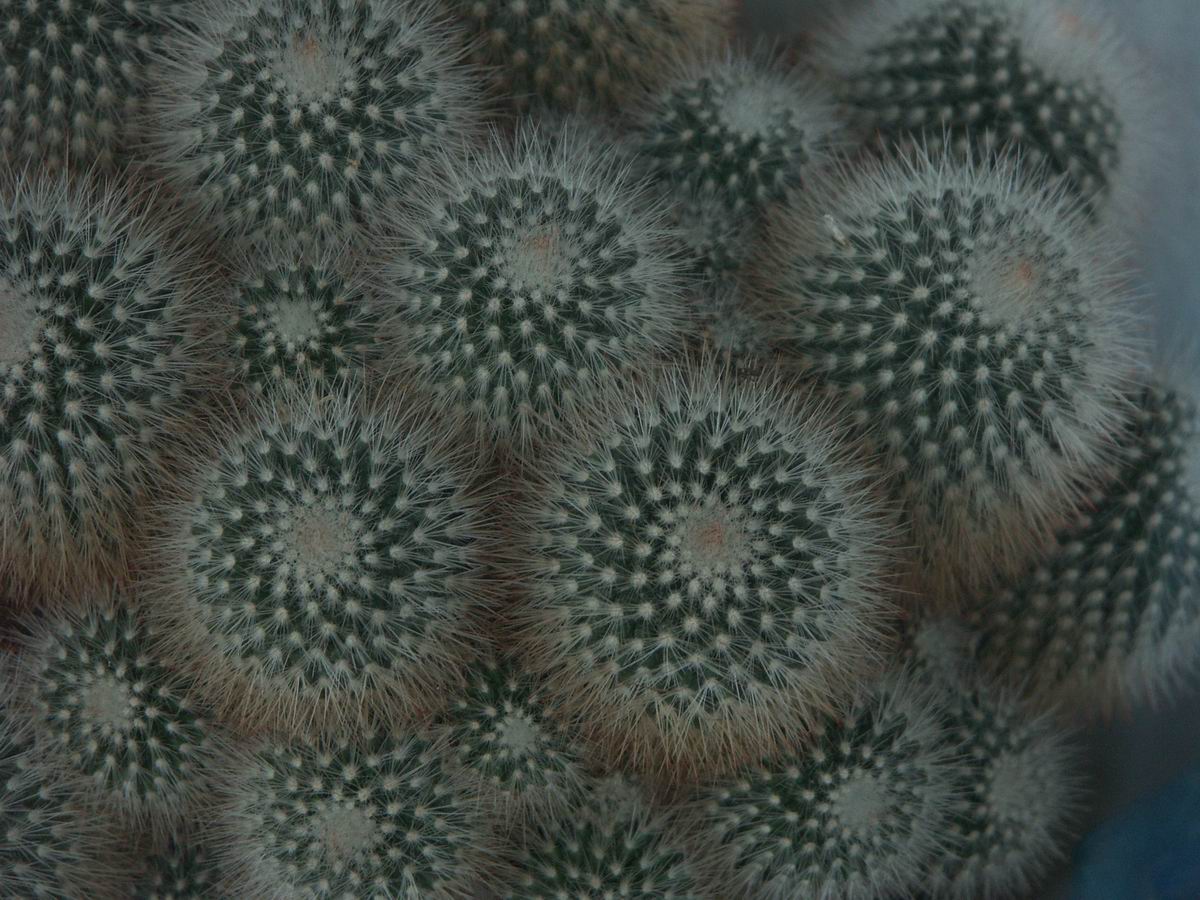 ��..�����