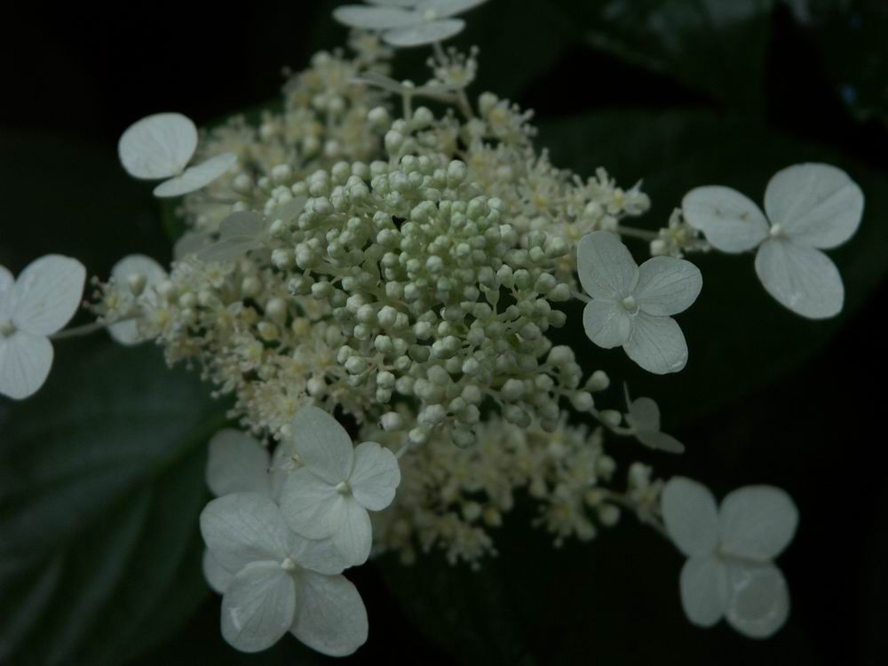 ��..���E��