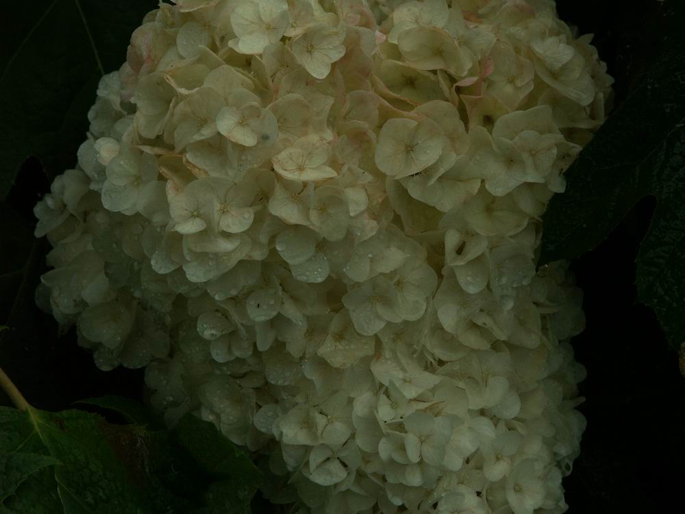 ��..���E��