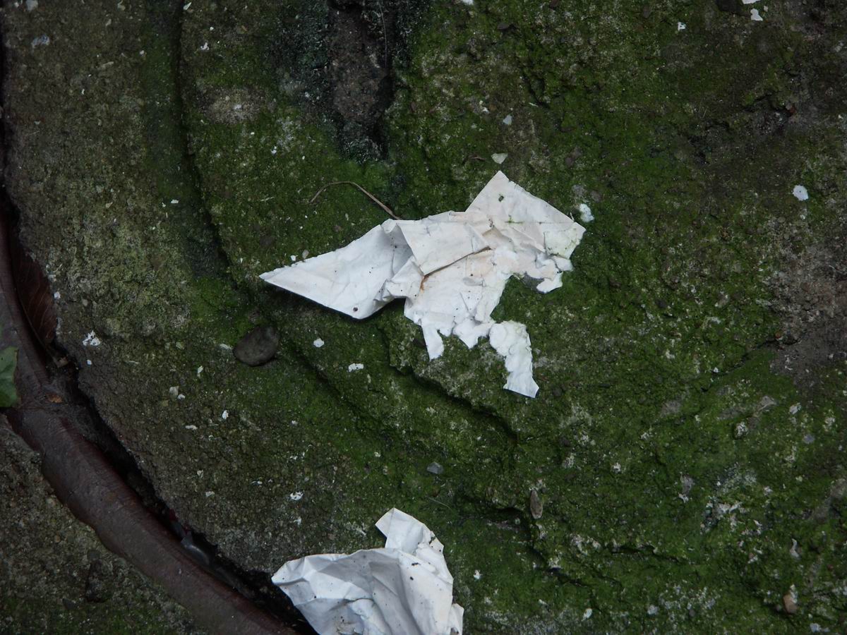 ��..���Â�