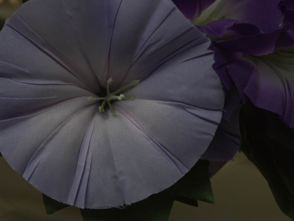 ��..���Â�