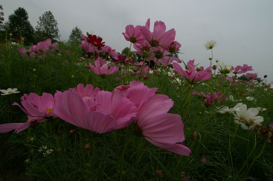 ��..�ꖀ��