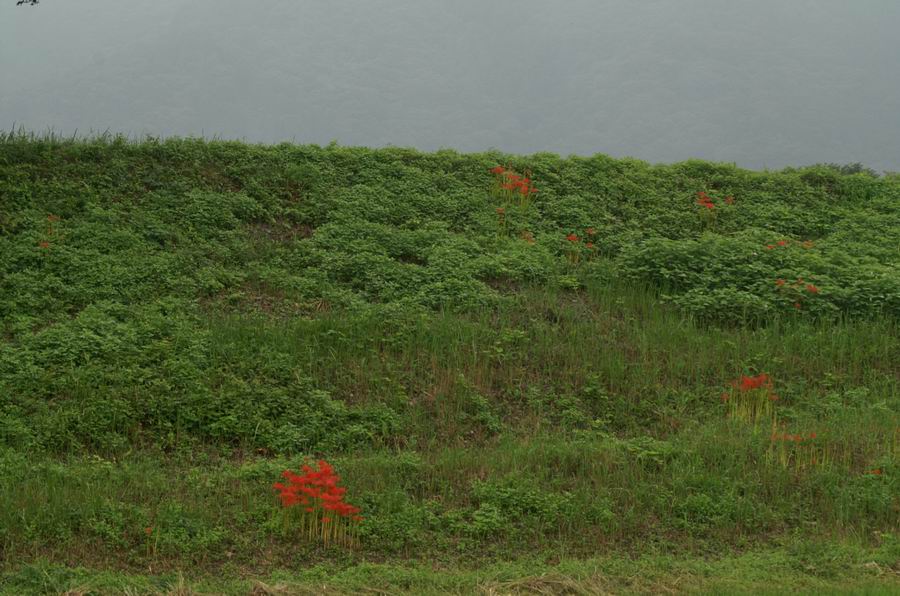 ��..�ꖀ��