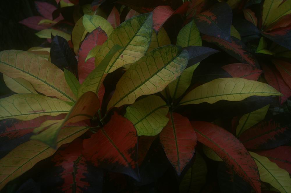 ��..�R����