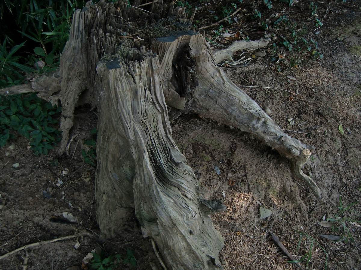 ��..������