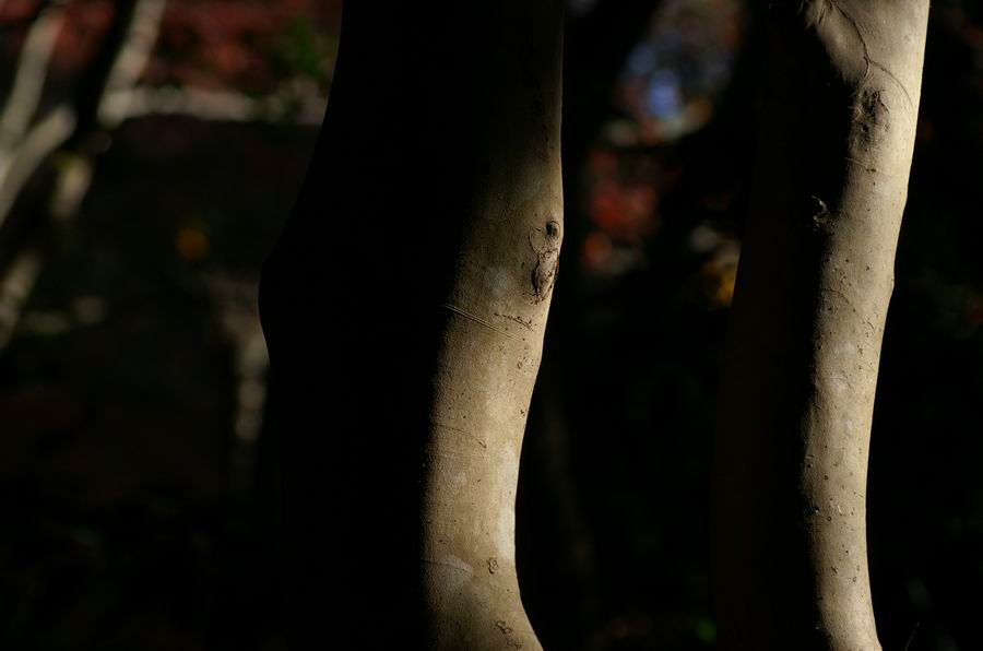 ��..�z�����̓�