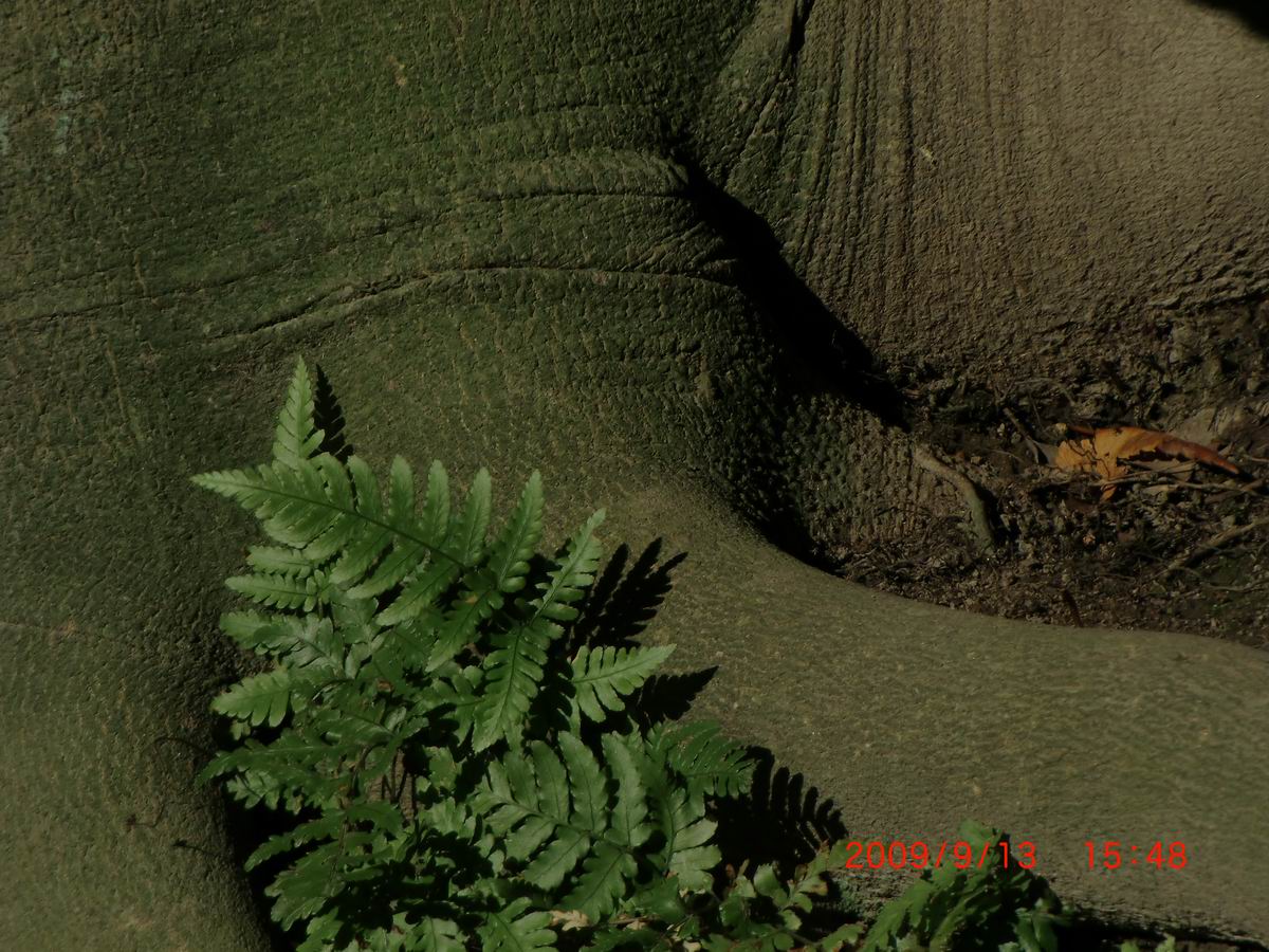 ��..����