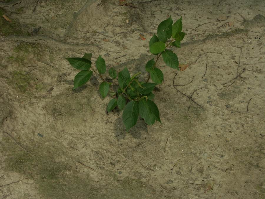 ��..����