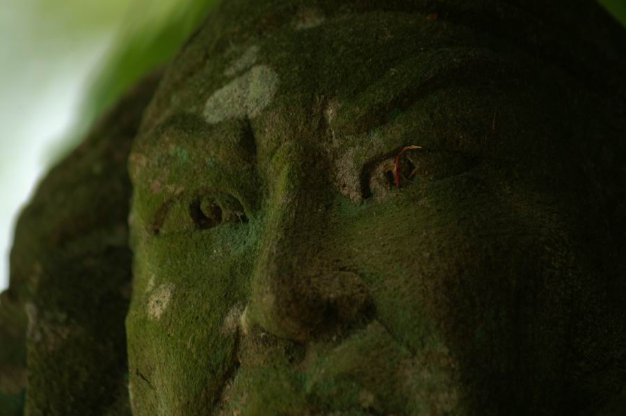 ��..��䶗������܂�