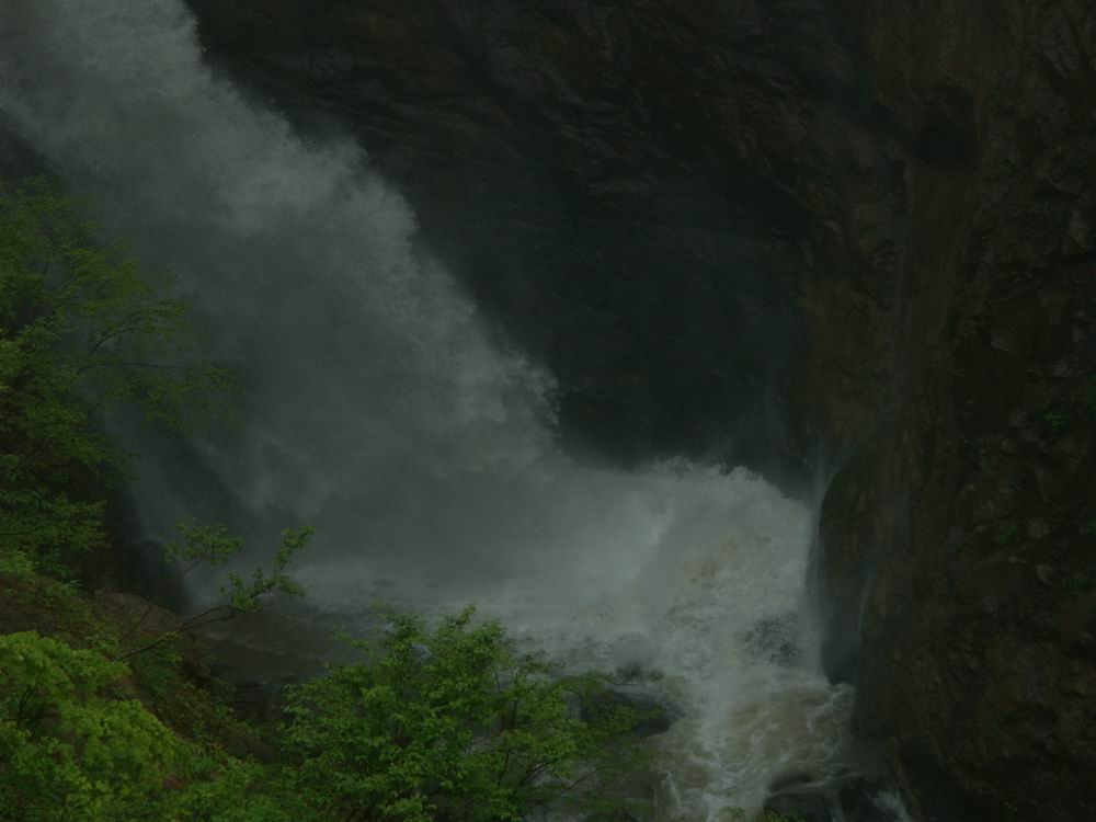 ��������..�s����A�c����A�т傤�Ԋ�A���ۂӂꂠ���̐X