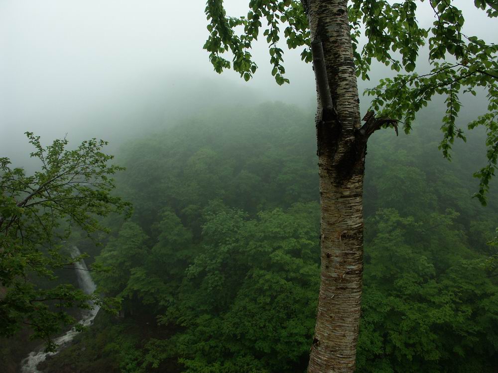 ��������..�s����A�c����A�т傤�Ԋ�A���ۂӂꂠ���̐X