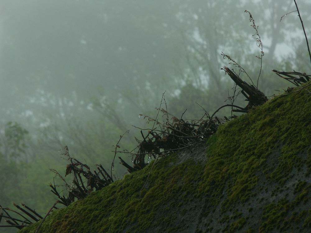 ��������..�s����A�c����A�т傤�Ԋ�A���ۂӂꂠ���̐X