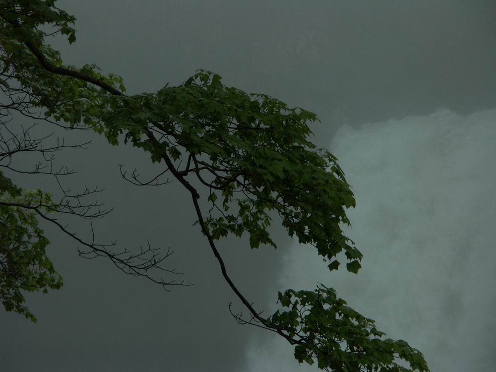 ��������..�s����A�c����A�т傤�Ԋ�A���ۂӂꂠ���̐X