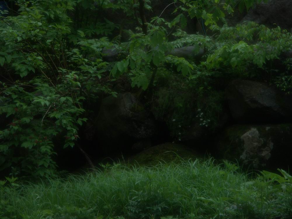 ��������..�s����A�c����A�т傤�Ԋ�A���ۂӂꂠ���̐X