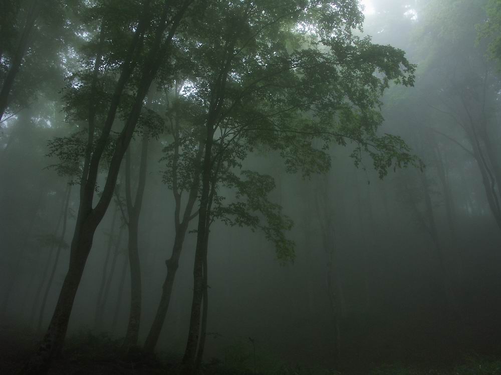 ��������..�s����A�c����A�т傤�Ԋ�A���ۂӂꂠ���̐X