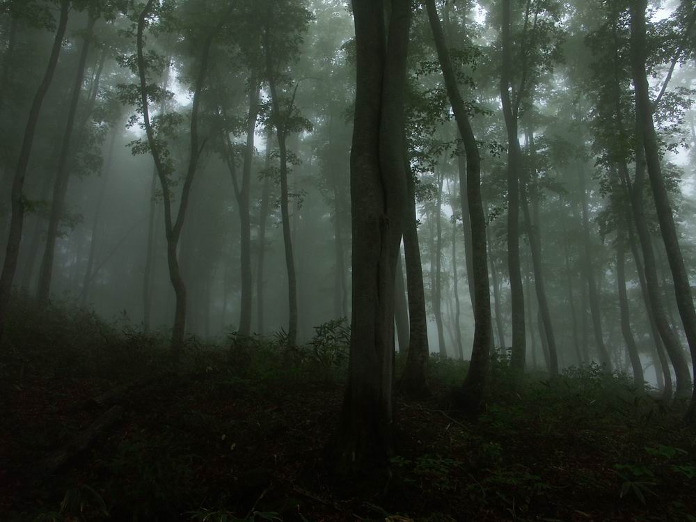 ��������..�s����A�c����A�т傤�Ԋ�A���ۂӂꂠ���̐X