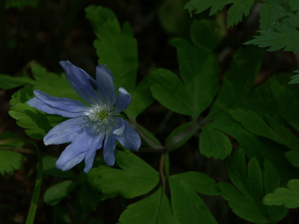 ��������..�������V�����A���������q��