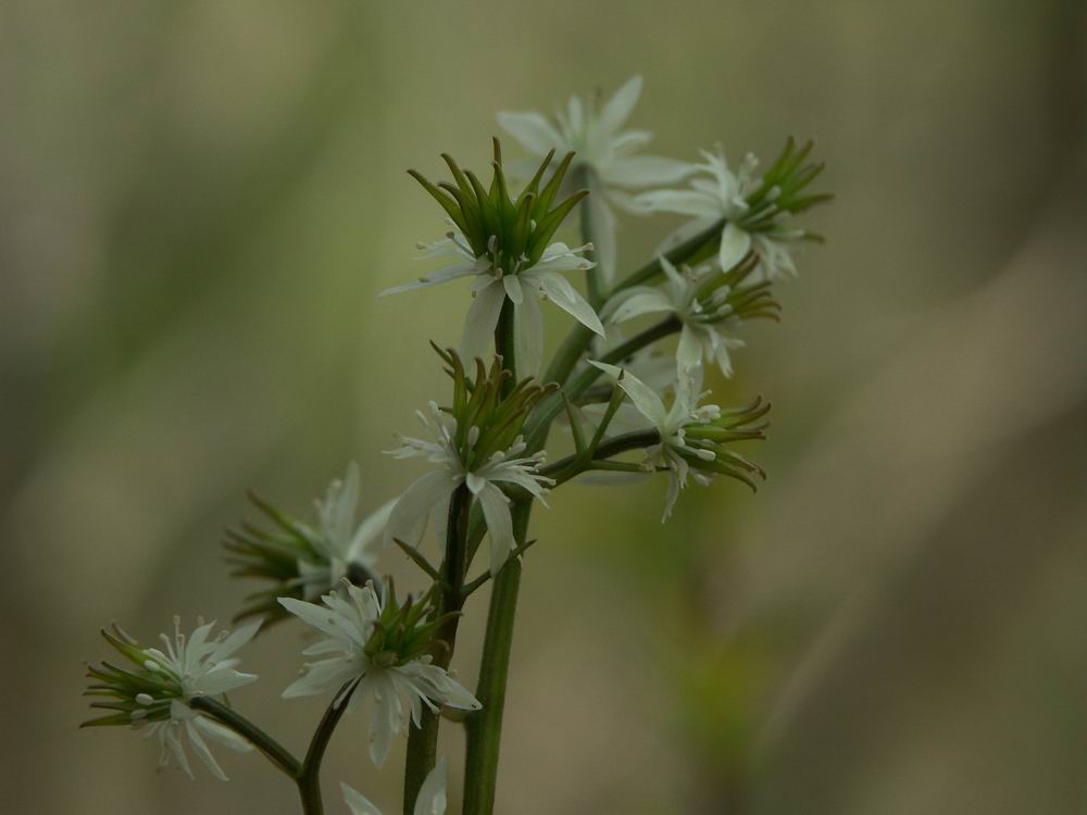 ��������..�������V�����A���������q��