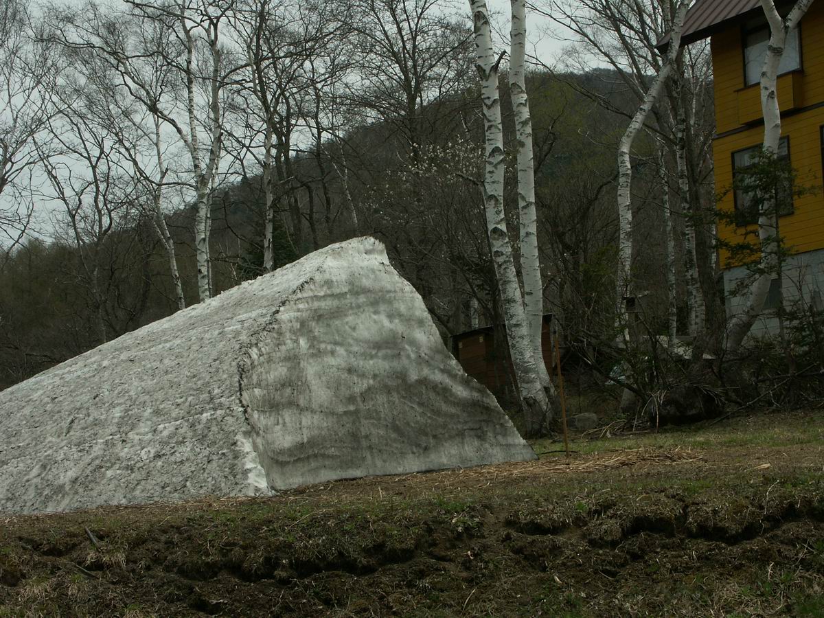 �ˉB�����A���P�R�[�A�֎R�A���ۂӂꂠ���̐X