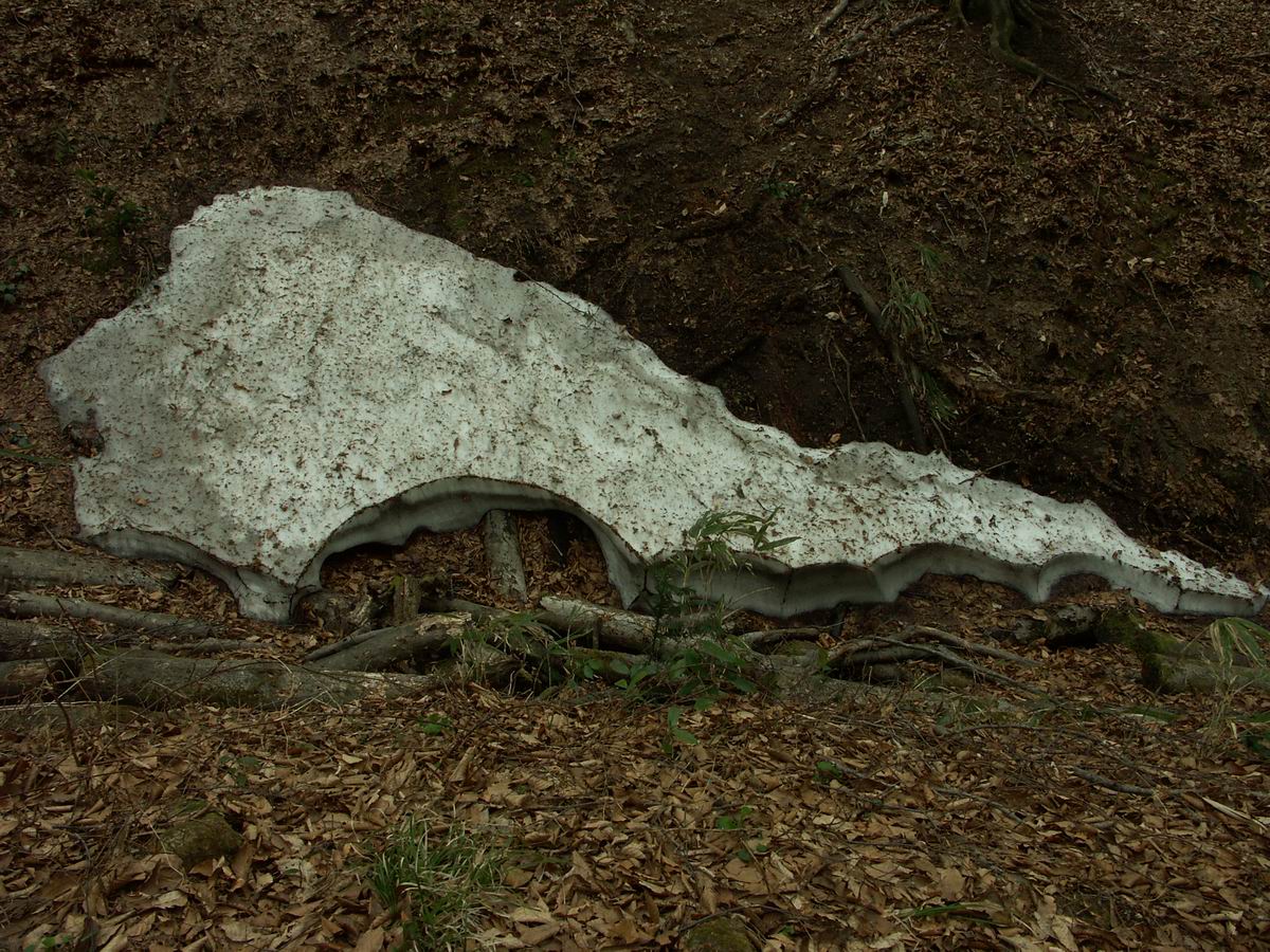 �ˉB�����A���P�R�[�A�֎R�A���ۂӂꂠ���̐X