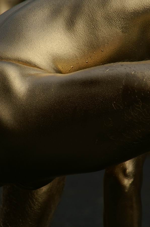 ��..��{�哹���l��..�����V���[