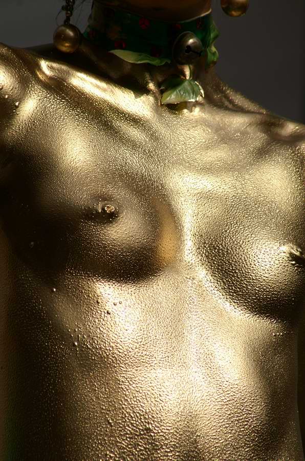 ��..��{�哹���l��..�����V���[