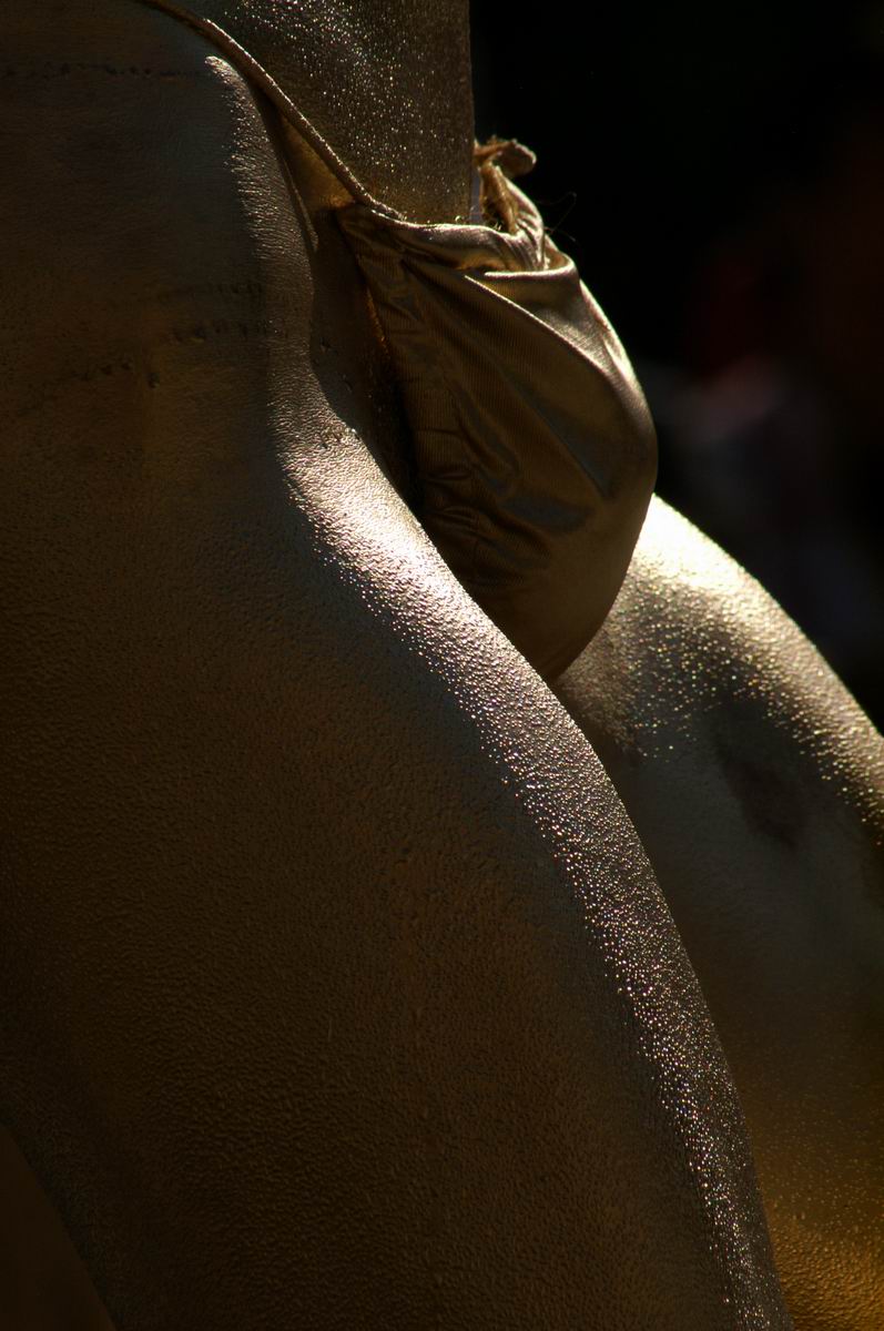 ��..��{�哹���l��..�����V���[