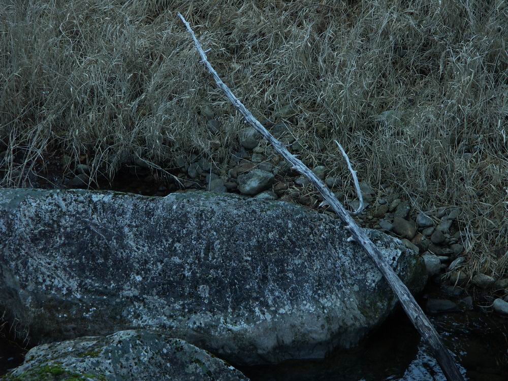 �Z�c�u���\�E